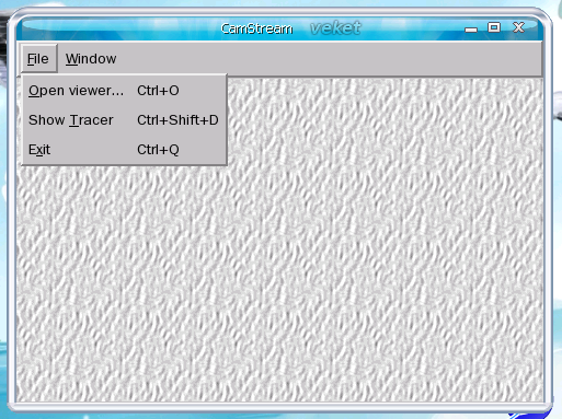 camstream-0.27-veket.png
