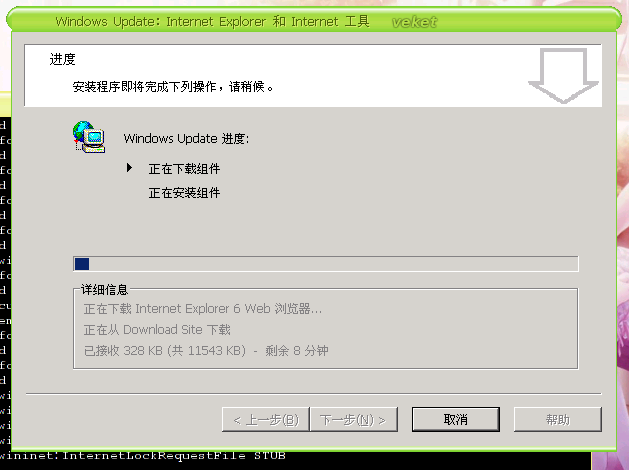 ie2.png