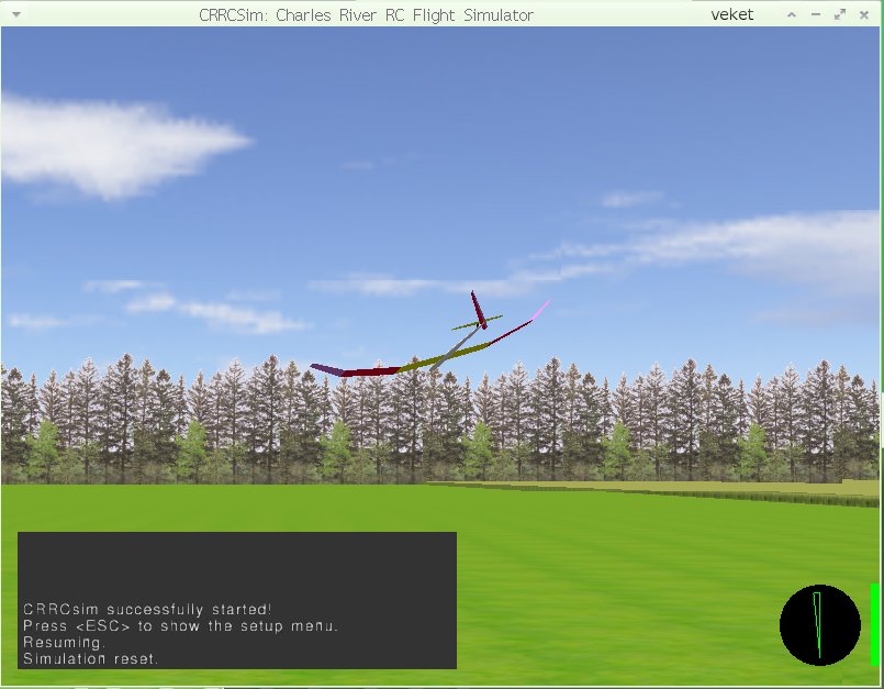 crrcsim-0.9.12-veket.jpg