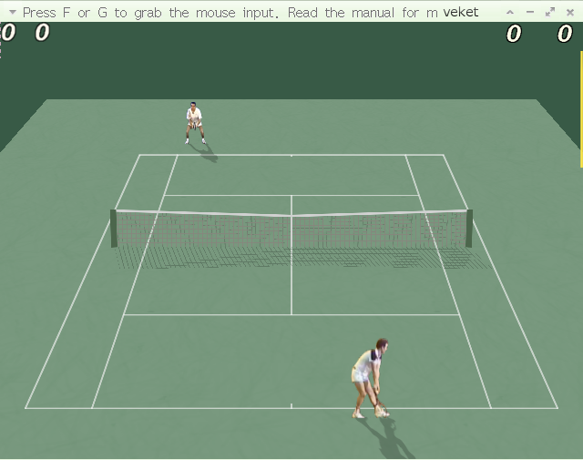 freetennis-0.4.8-veket.png